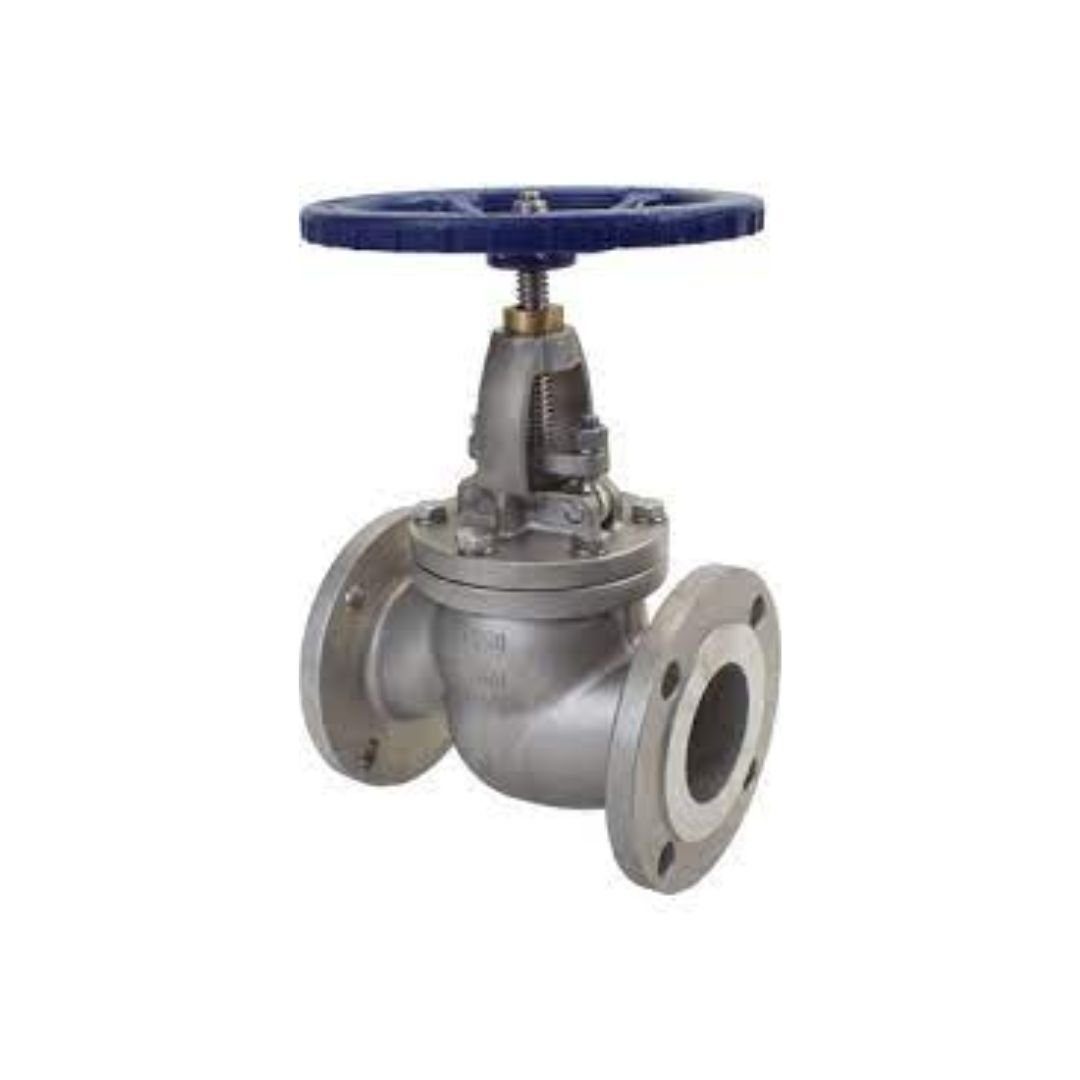 Stainless Steel Globe Valve