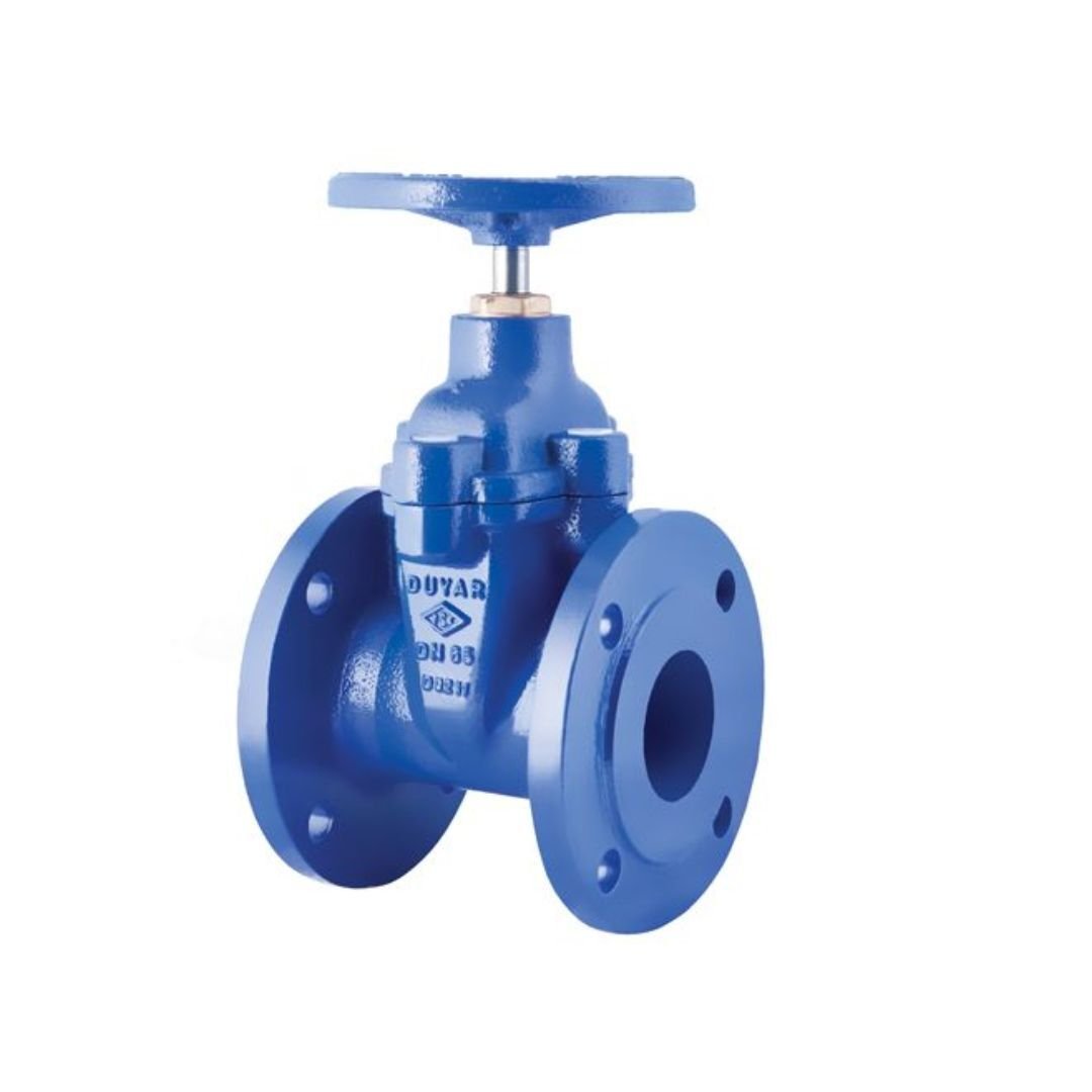 Cast Iron Gate Valve
