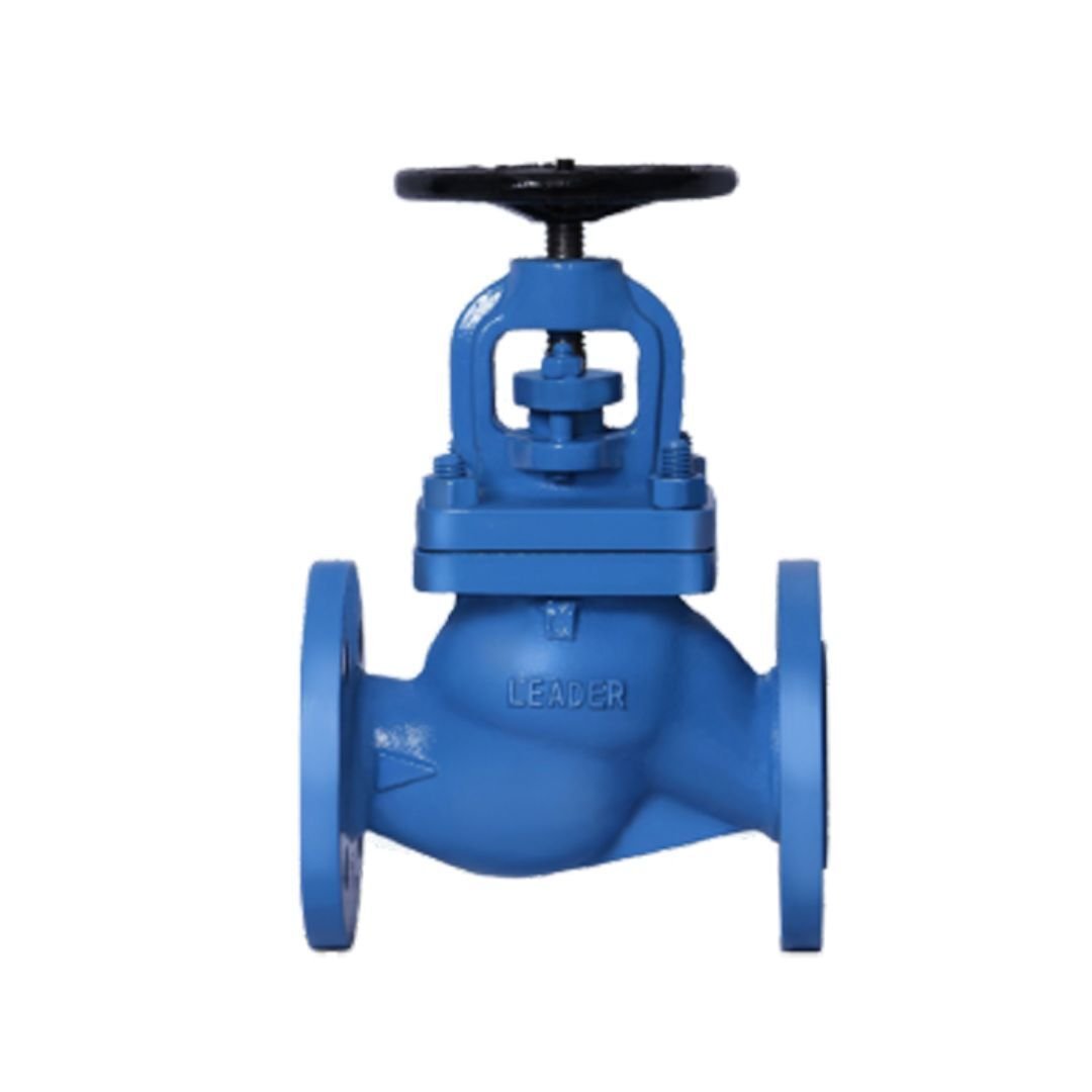 Cast Iron Globe Valve in saudi arabia