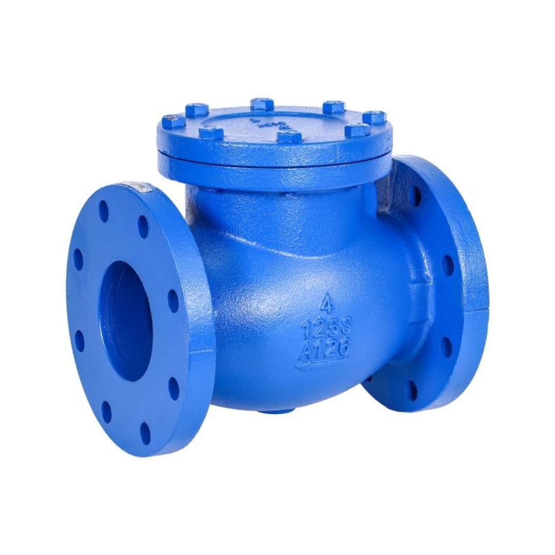 Cast Iron Check Valve