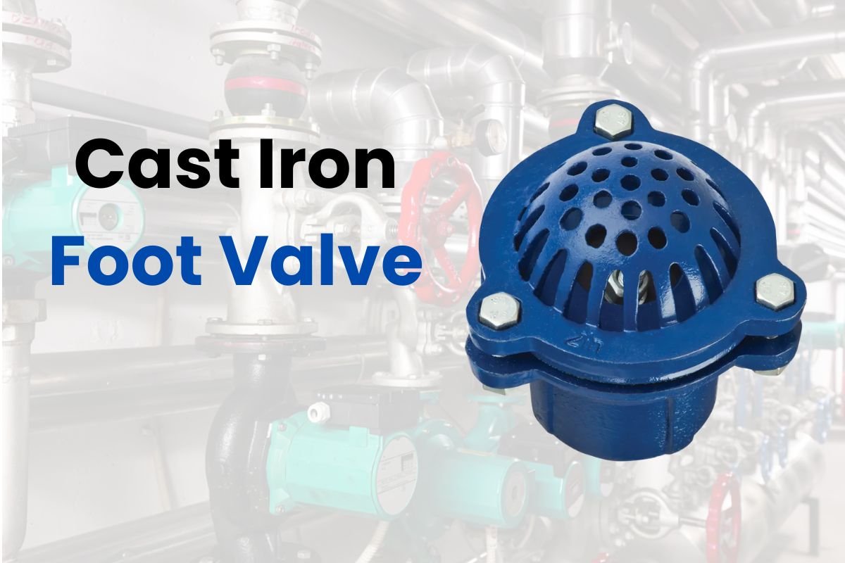 Cast Iron Foot Valve: