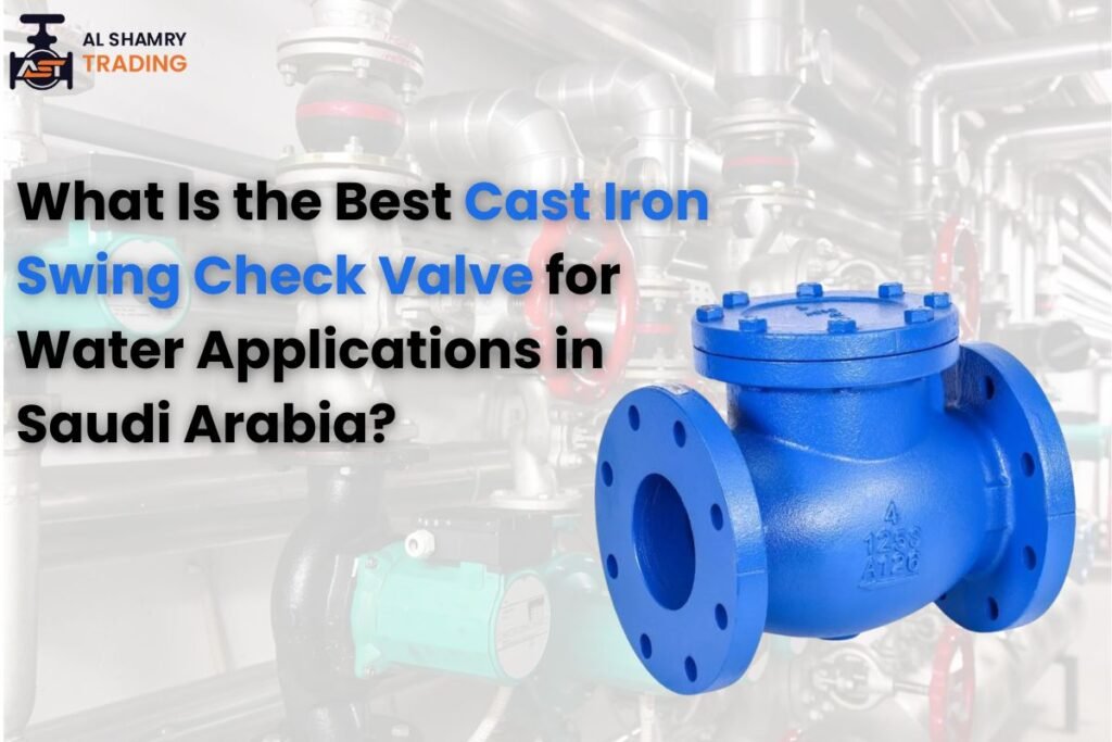 What Is the Best Cast Iron Swing Check Valve for Water Applications in Saudi Arabia? 