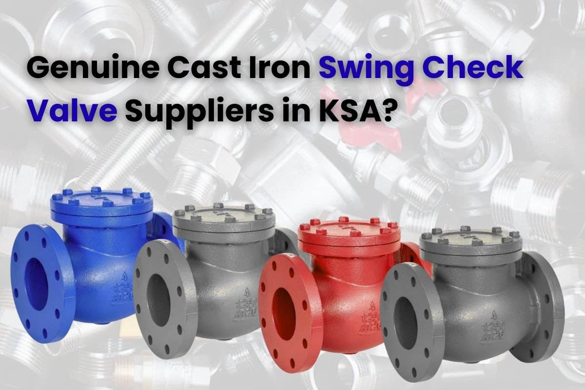 Cast Iron Swing Check Valve