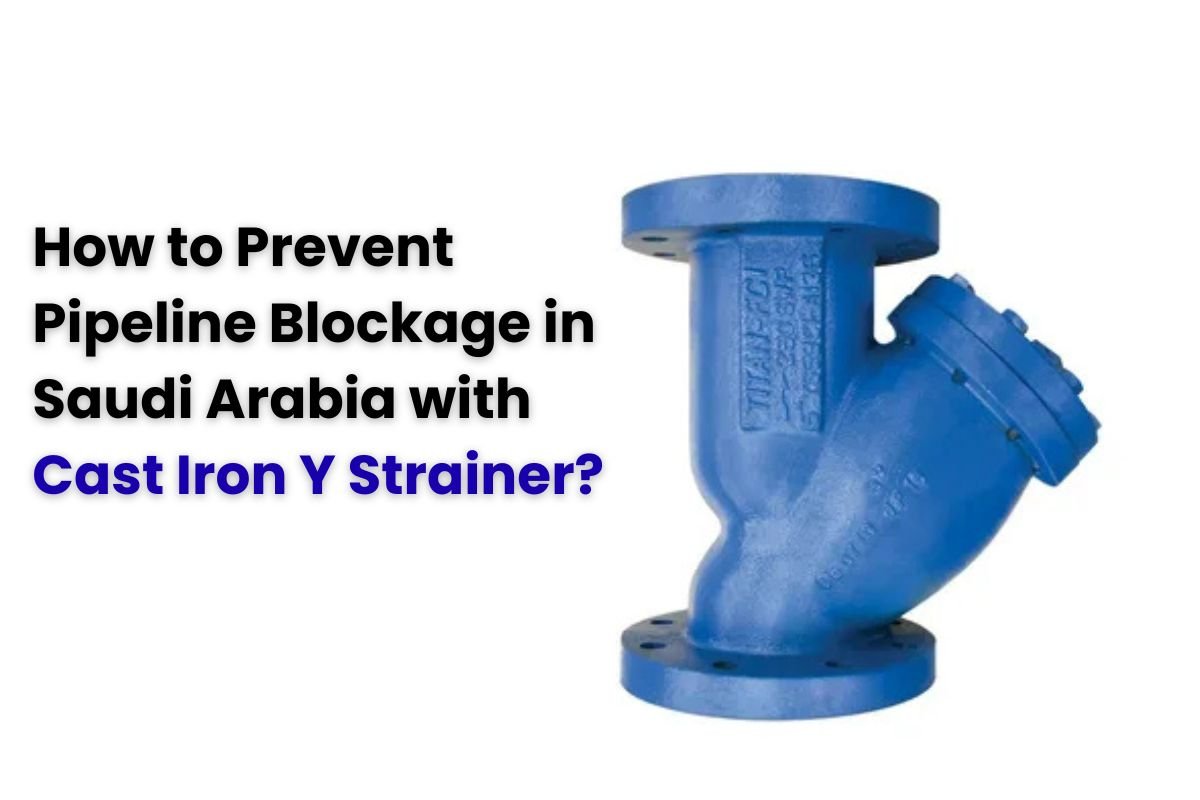 Cast Iron Y Strainer?