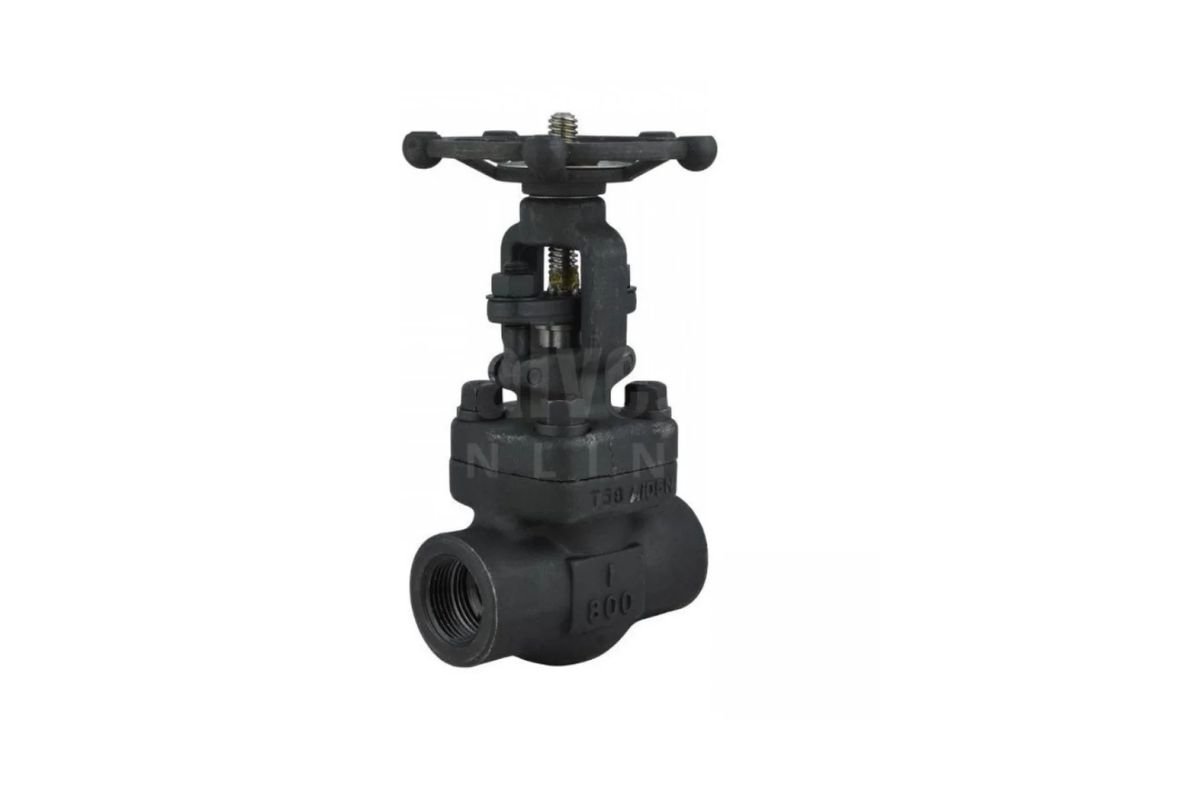 Forged Steel Gate Valves