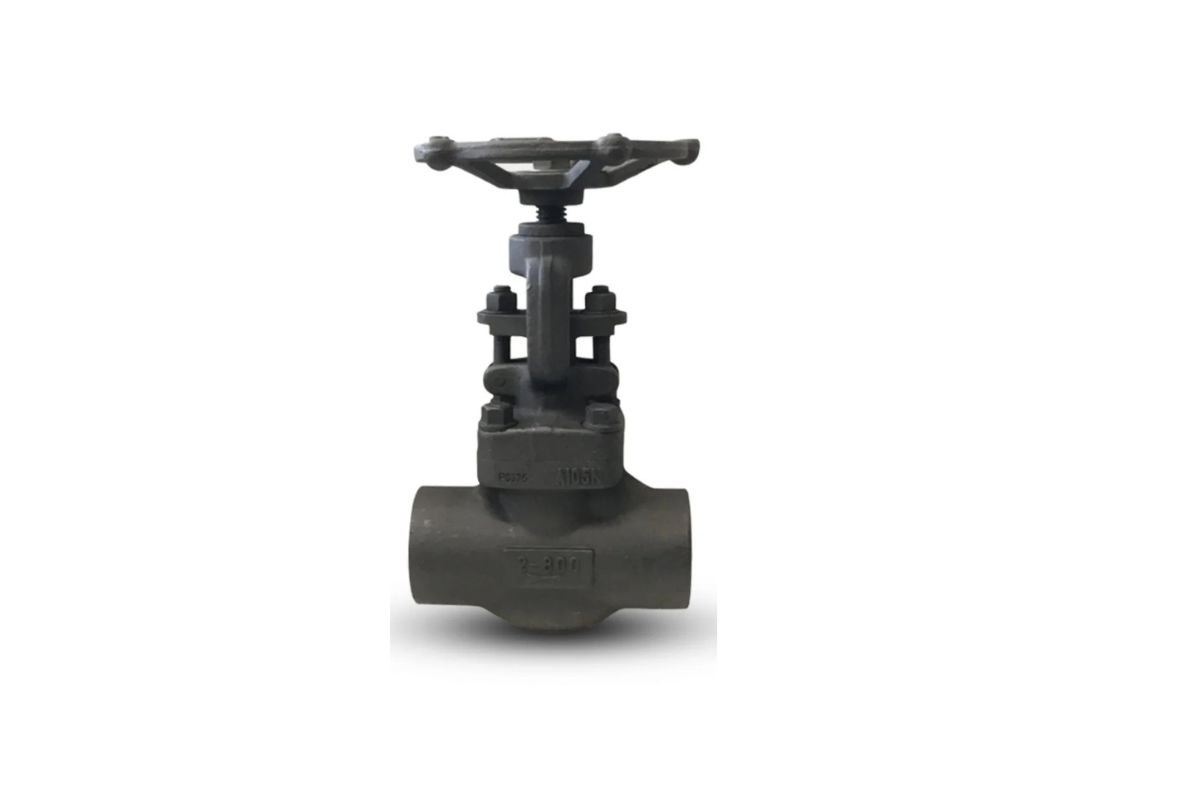Forged Steel Globe Valves
