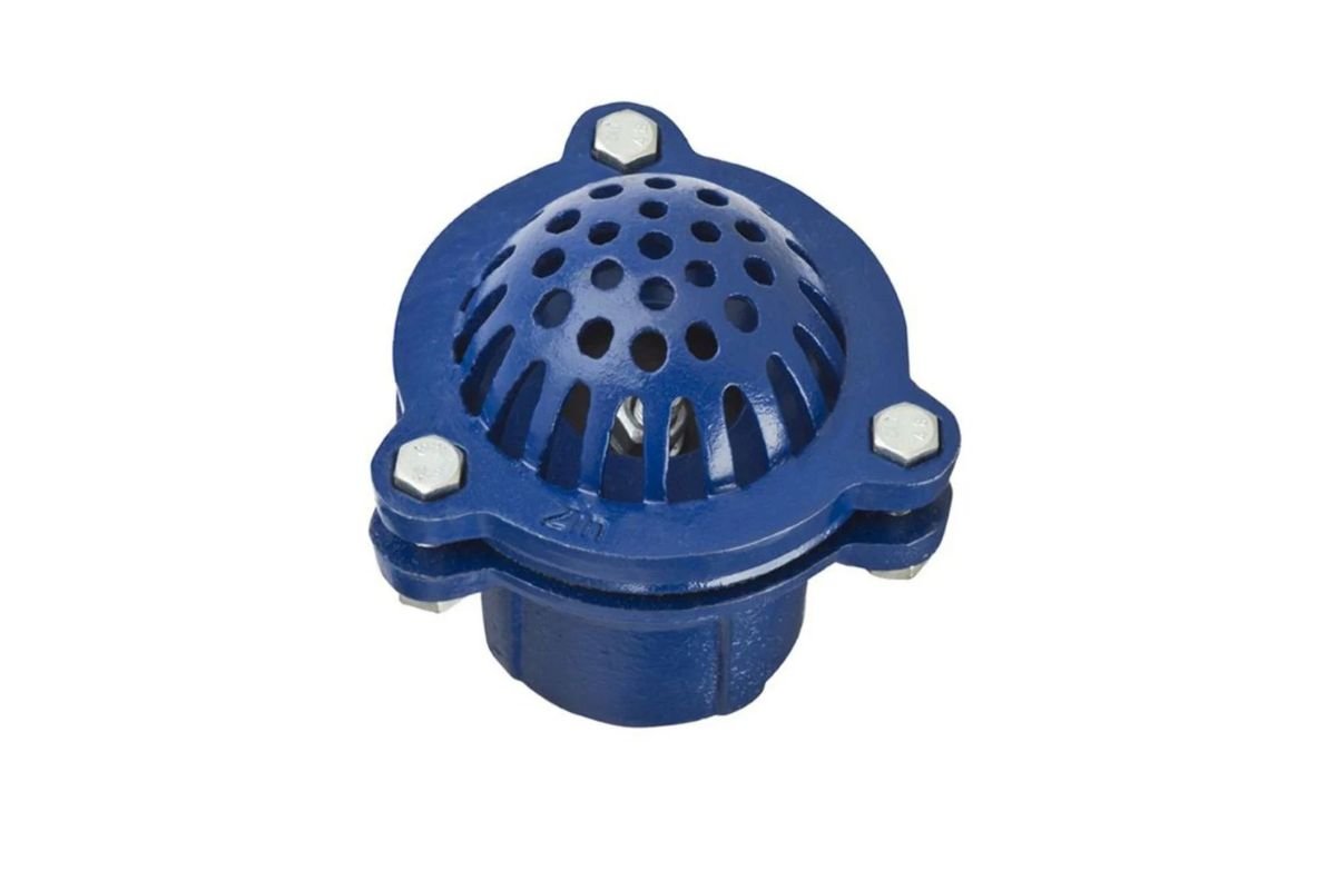 Cast Iron Foot Valve