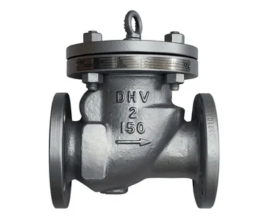 How Swing Check Valve Solves Backflow Problems in Saudi Desalination Plants 
