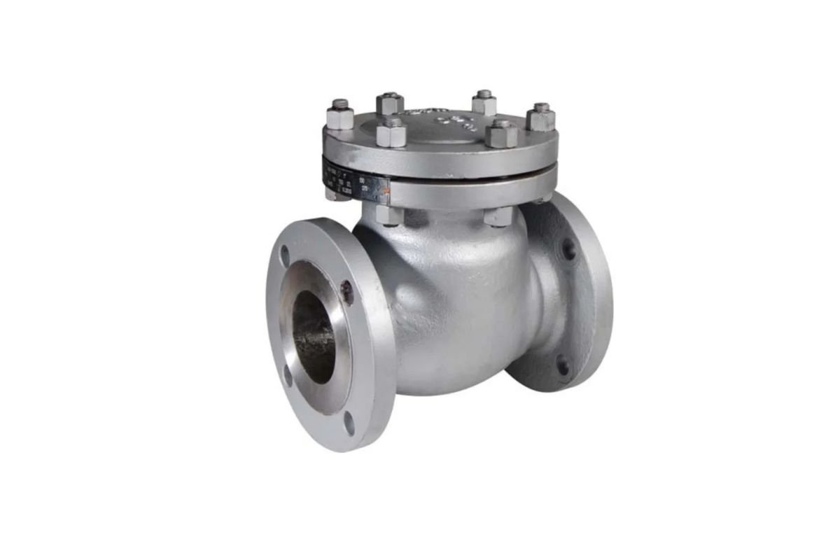 carbon steel check valves
